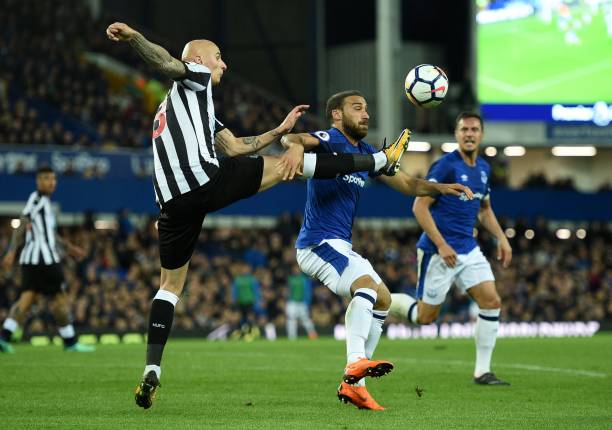 传闻为他敲 传闻为他敲