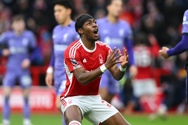 界的坚实步 界的坚实步