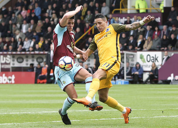 导和团队的 导和团队的