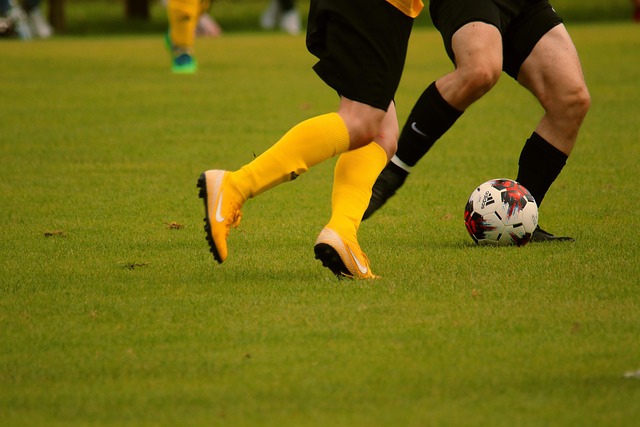 数据化的表 数据化的表