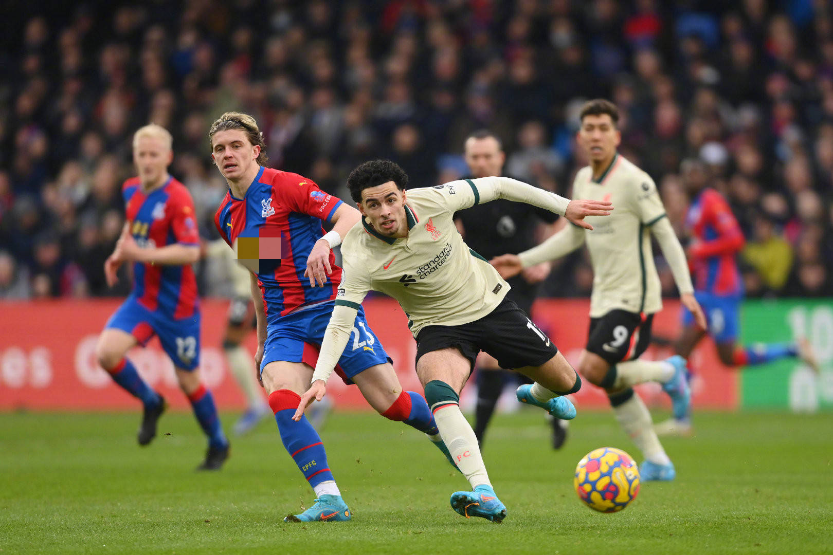 能力的培养 能力的培养